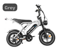 V20 PRO MINI ULTIMATE FATBIKE